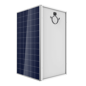 Poly 100W 12V