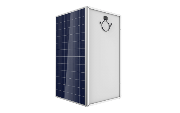 Poly 100W 12V